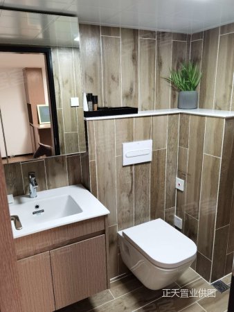 象湖 省府核心 超大型商业新田360 lost公寓,新田印象二手房,81万,1室