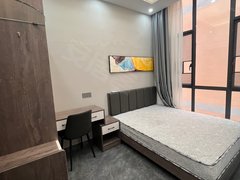 广州天河长湴别墅区 精装修一房一厅 精致生活出租房源真实图片
