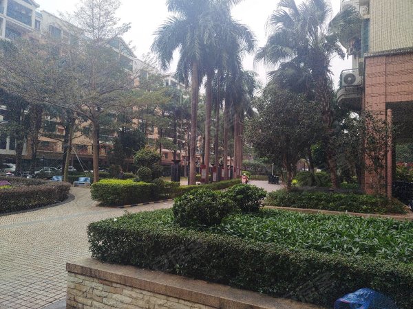 深圳宝安西乡丽景城31房,12号线正地铁口,看花园,精装,随时看房出租