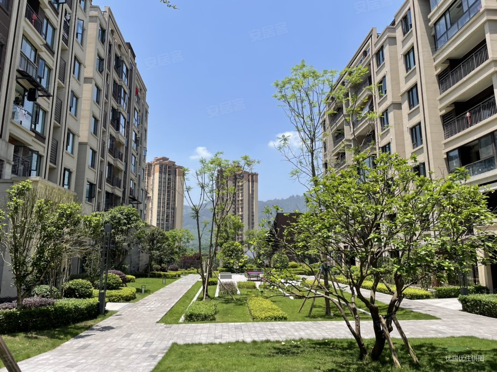 (低总价洋房三室 龙湖紫云台旁)纯洋社区 支持公积金 急售!