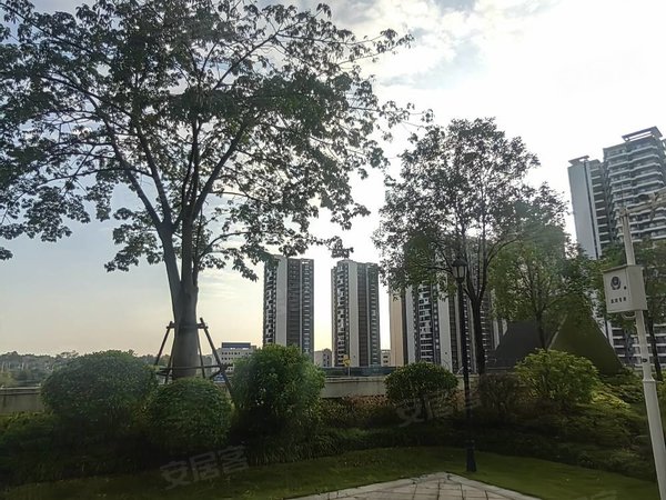 31房3阳台免费使用车位一个,包物业费,建工城大都康园,良庆租房