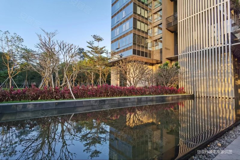 新天鹅堡二期top1观景位,292平41毛坯房自由设计