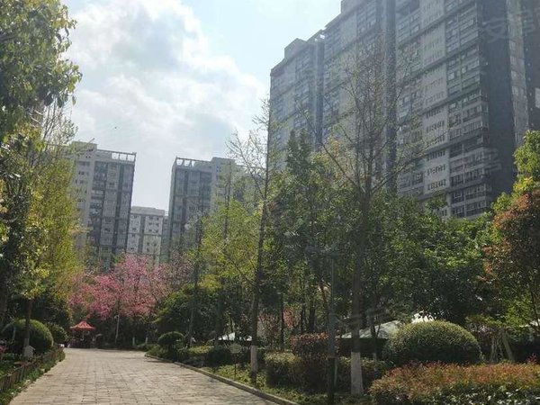 精装4房 南北通透 价可谈 看房方便 金江小区,盘龙租房-昆明58安居客