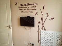 淮南田家庵淮南时代广场民生前城 精装1室1厅 家电家具齐全拎包即住出租房源真实图片