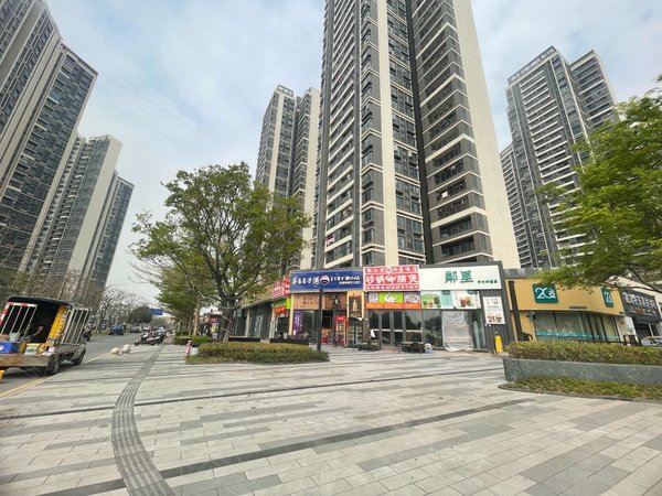 广州南沙榄核保利星海小镇保利星海小镇南向三房出租 家私电器很新