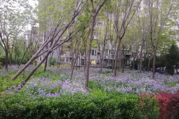 苹果派,黄渠东路2号 - 北京苹果派二手房,租房,房价-北京安居客