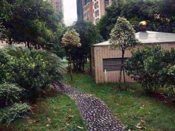 【多图】固戍花园,固戍租房,固戍地铁 精装修一房一厅押一付一民水电