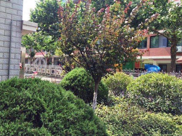 青岛胶州三里河澳门花园(胶州)新城区 电梯套二 有空调冰箱洗衣机