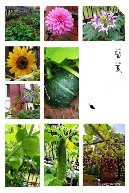 信誉城市花园2室2厅2卫119.62㎡南90万