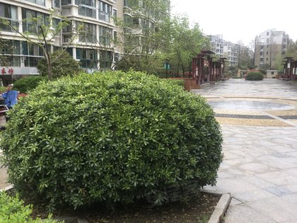 紫薇国际广场,人民南路2号-盐城紫薇国际广场二手房,租房-盐城安居客