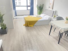 蚌埠蚌山新城区非中介 押一付一 包物业 一室整租 珍宝岛商业广场 航华嘉苑出租房源真实图片