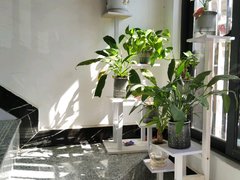 汕尾汕尾城区红草三和路 1室1厅1卫出租房源真实图片