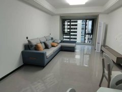 东台东台城区鼓楼路步行街吾悦广场旁 电梯三室 碧桂园双玺 精装修 看房方便出租房源真实图片