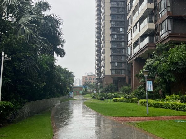 广州增城新塘豪进广场碧桂园豪进广场 地铁口 漂亮两房出租房源真实