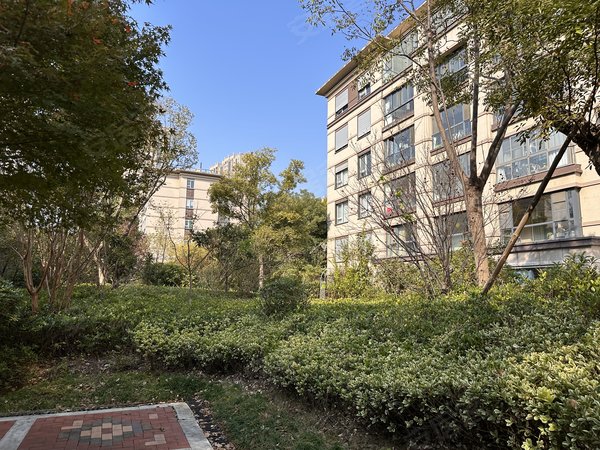 苏州吴江南部新城朗诗太湖绿郡带院子!
