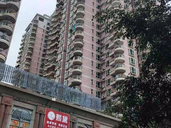 【多图】侨城豪苑(一期),华侨城租房,白石洲地铁站,侨城豪苑精装电梯2