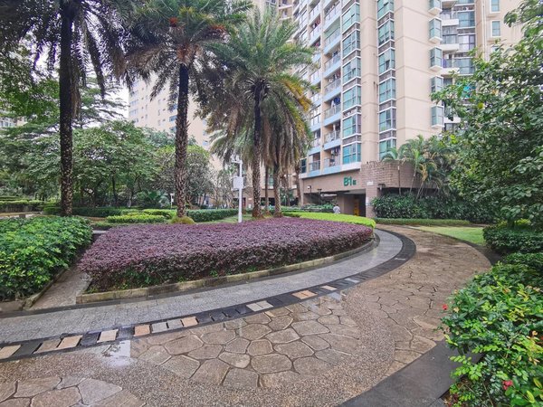 深圳福田新洲绿景花园(二期)整租  绿景花园全新一房一厅出租,东南