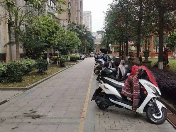 福州连江县城格林威治房源采光好,南北通透,业主诚意出出租房源真实