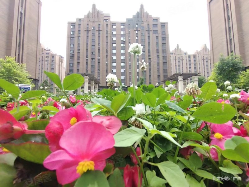 梧桐公馆 双地铁 吉林大路沿线 中东欧亚商圈 封闭小区