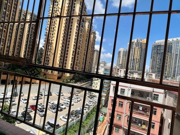 深圳布吉丹竹头圆墩小区直租布吉丹竹头,精装修一房一厅 独立卫生间