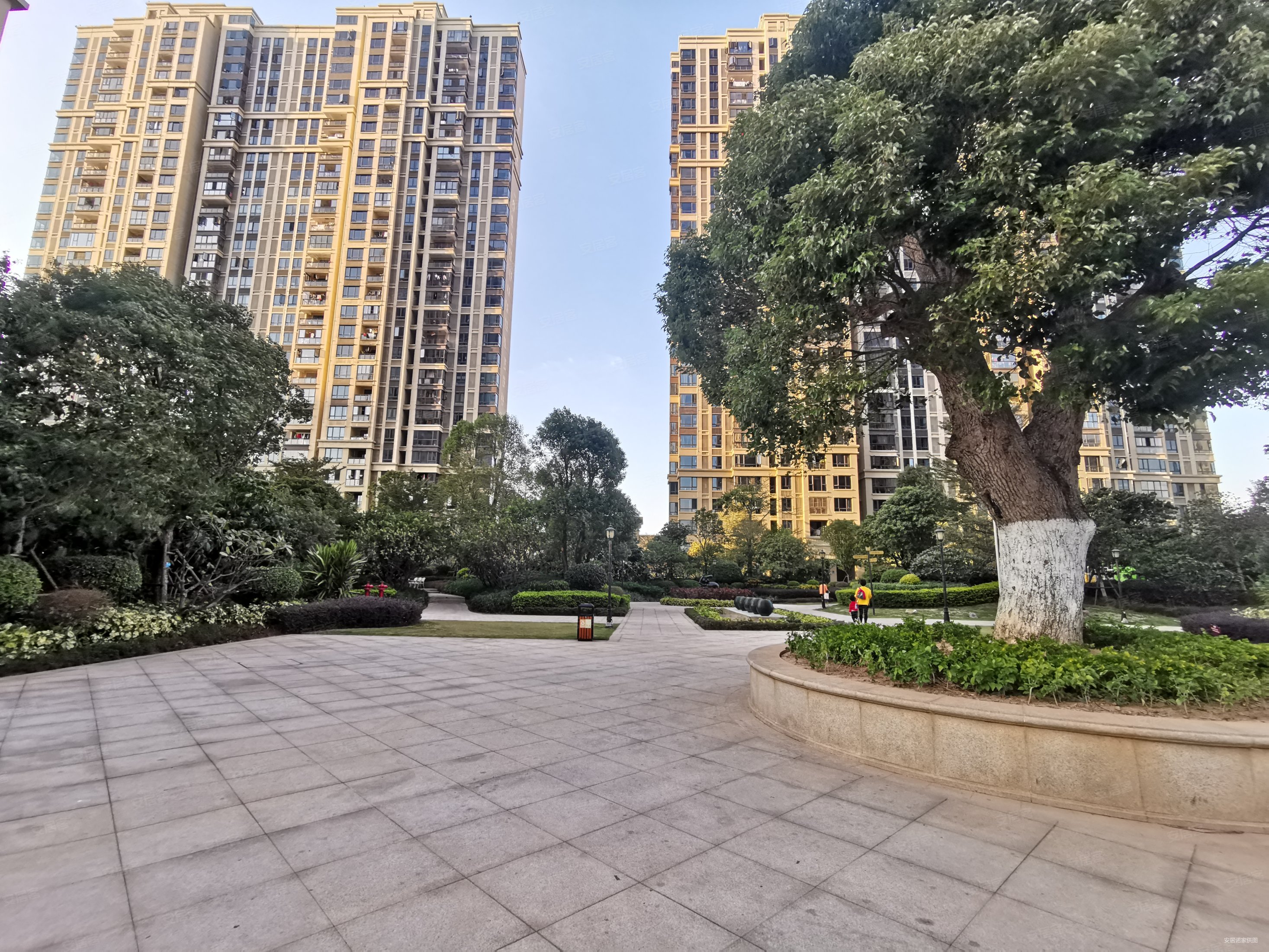 五缘湾国贸新天地降价200万南北通透看湾景