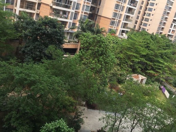 南宁青秀凤岭南中房翡翠园二期翡翠园二期  全新   简约  业主  自住