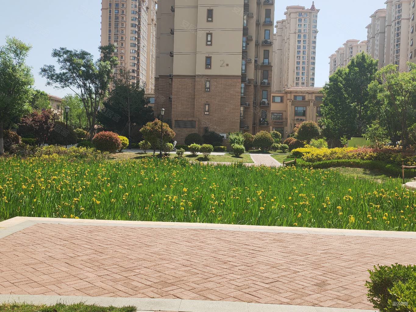 李沧地铁口 中南熙悦 不邻路 采光好 全明户型 无遮挡,中南世纪城(四