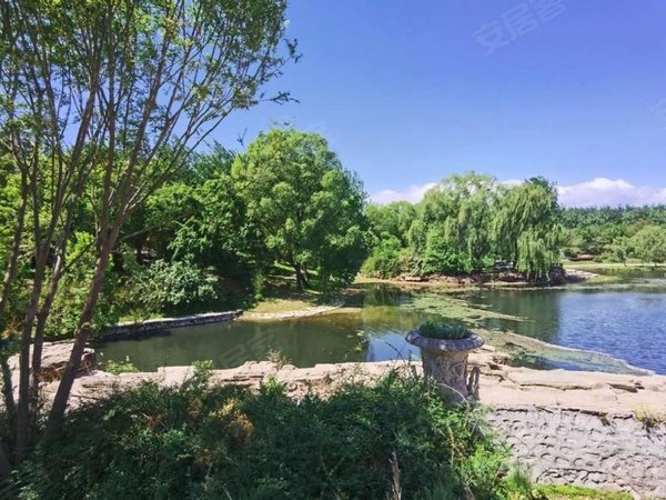 北京朝阳大山子远洋lavie远洋lie 精装独栋别墅 环境优美 出则繁华 入