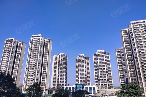 好不好_中介房产经纪人:陆婵娟对灵山岛金茂湾的评价-广州安居客