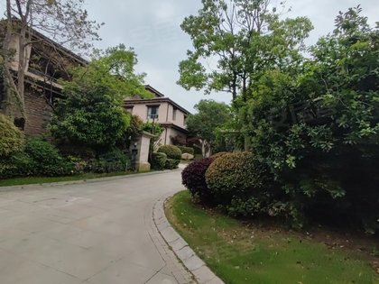 玛斯兰德