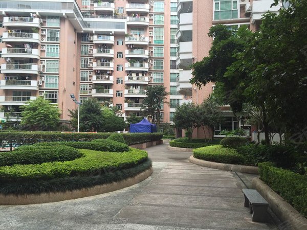 东莞东城花园新村富怡花园富怡花园 超值自住房 现场实拍图 家私齐全