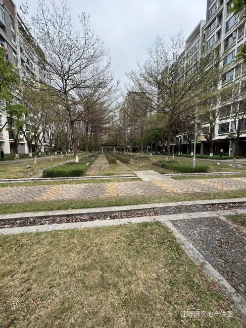 亚运城运动员村一区