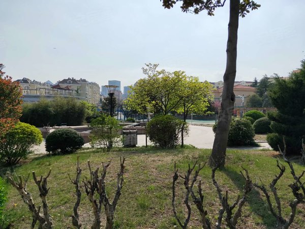 青岛崂山崂山区政府金岭新村金岭新村 精装套一 家具家电齐全 总价低