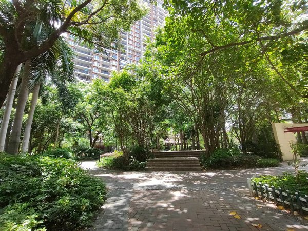 广州海珠赤岗锦鸿花园(真实 本人自拍)首出租 保养好 干净整洁 高层