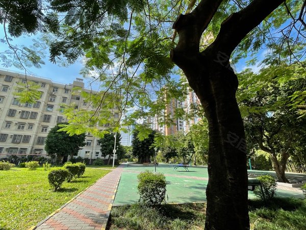 深圳南山蛇口翠竹园翠竹园 4房 南北通透 新出房源 空房出租 可稳定长