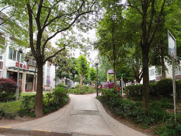 重庆北碚复兴和欣家园和欣家园 2室2厅1卫 64平 1之路出租房源真实