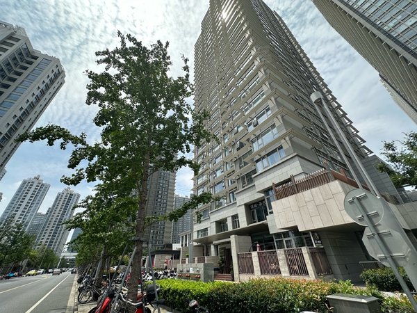 上海普陀真如高尚领域(商住楼)业主委托,专做高尚领域2房3房4房供你