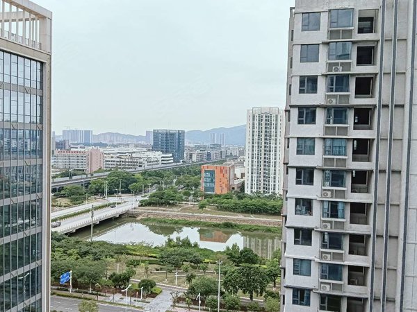 【多图】仁恒河滨花园,金鼎租房,仁恒河滨花园 3室2厅1卫 电梯房 精