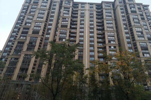 上海二手房 汤臣臻园 > 周志虎解读汤臣臻园附近学校房友地产泽丰路店