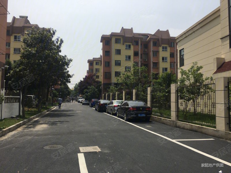 1室1厅 精装修 金丰小区 南北通透 采光好 周边商圈成熟