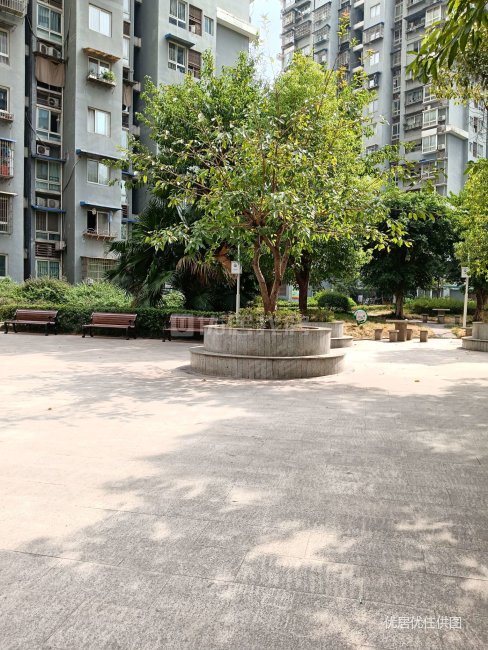 香港城 电梯房 124平 3室 普装 房东急置换 诚心出售