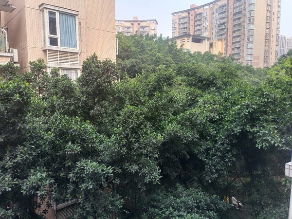 【多图】浩立半岛康城,鱼洞租房,万达,繁华地段800块租个两个房,还要