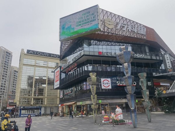 【多图】万科派,江燕路租房,万科派 2室2厅1卫 精装修 48平 电梯房