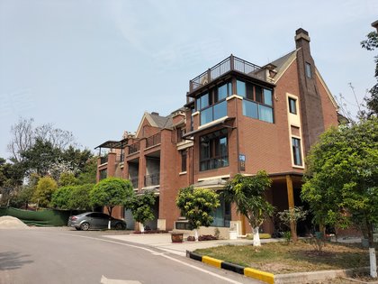 典雅花溪半岛(别墅),柏君大道68号 - 重庆典雅花溪半岛(别墅)二手房