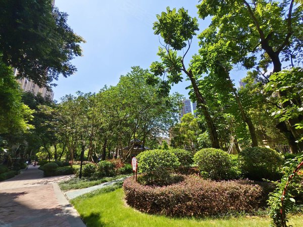 南宁兴宁东沟岭金源橘子郡吾悦广场商圈 地铁口 三房配齐出租 金源城