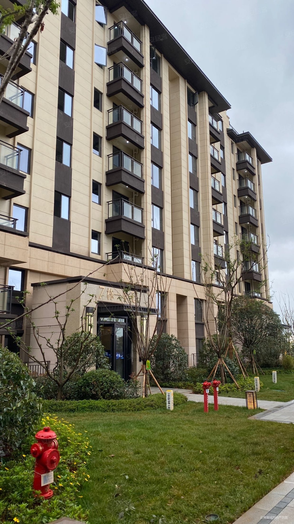 金茂国际新城擎云苑