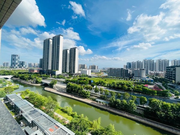 广州南沙横沥灵山岛金茂湾18号线南向三房视频图片实拍 拎包入住 随时