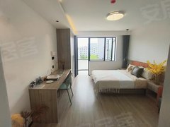 上海大学 嘉定城区 罗宾森广场 酒店式公寓一居室随时看房