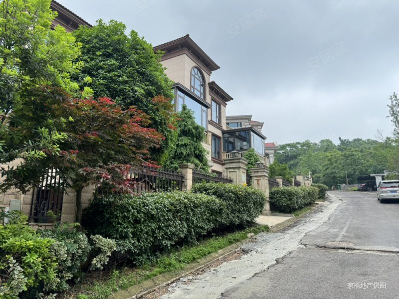 卓越麓山别墅(别墅)6室3厅5卫392.23㎡南北820万