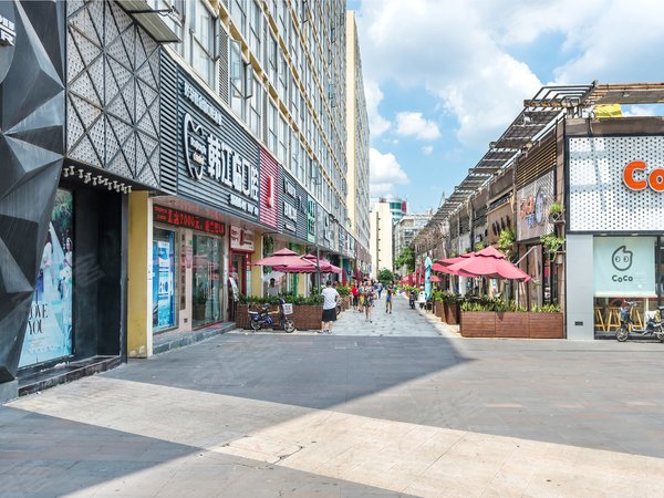 深圳龙华龙华青年城邦园(地铁站口)青年城邦园 1室1厅1卫 电梯房 阳光